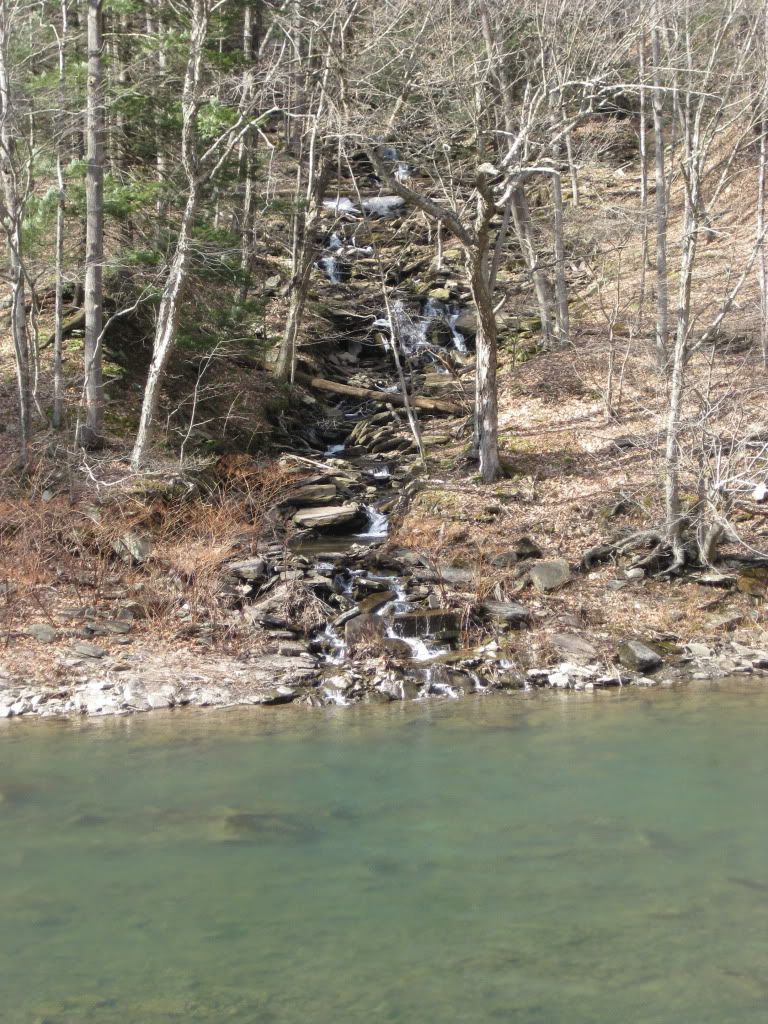 IMG_0729.jpg