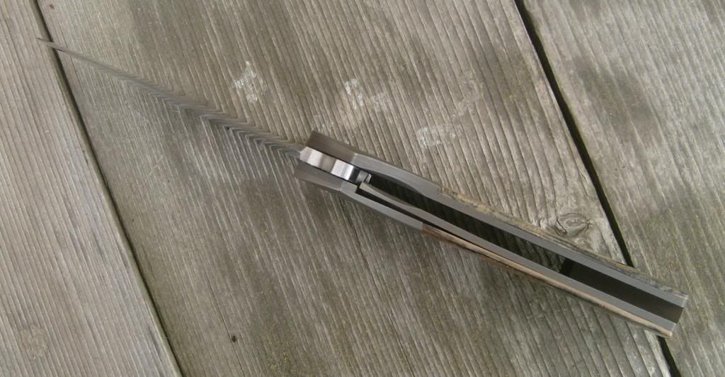 S7302654_zpsebd23896.jpg