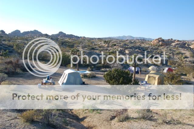 DSC_0113.jpg