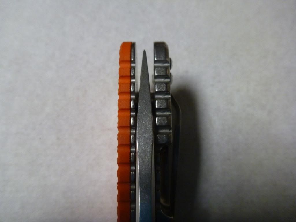 P1000260_zps4f540627.jpg
