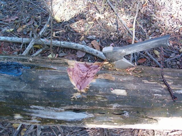 052.jpg