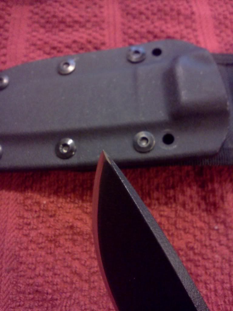 ESEE4210.jpg