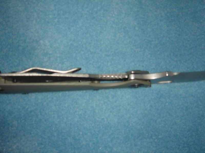 DSC02616.jpg