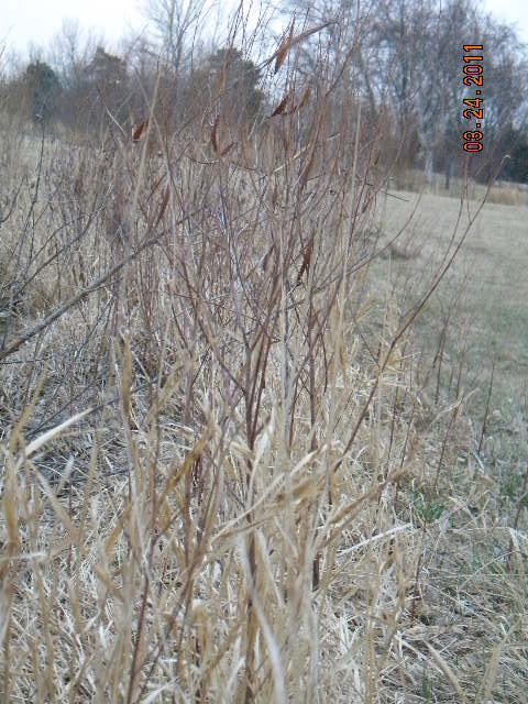 DSCN3493.jpg