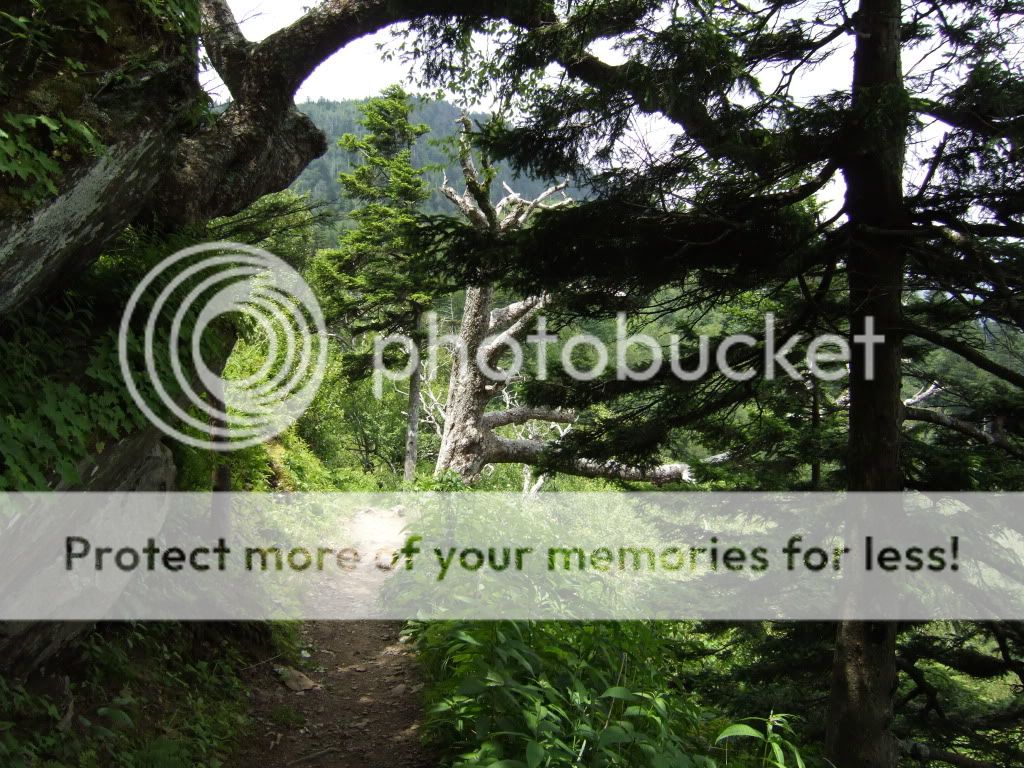 2009_07040148.jpg