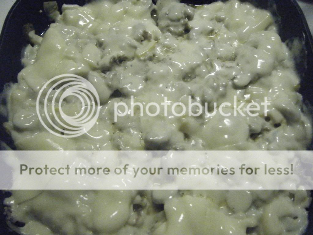 DSCF9954.jpg