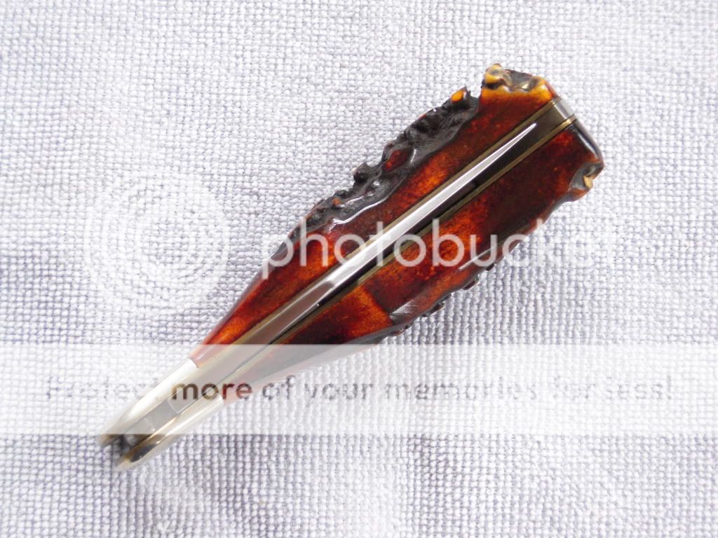 DSCN1130.jpg