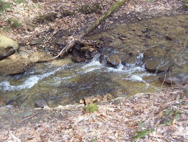 100_0285.jpg