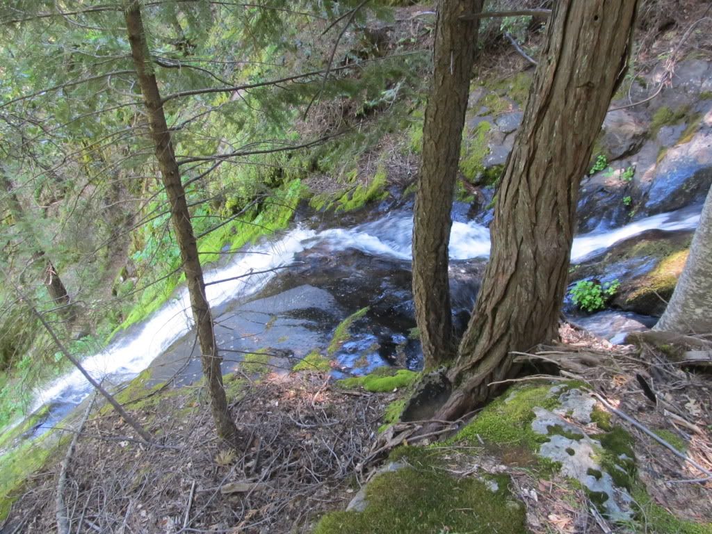 IMG_0221.jpg