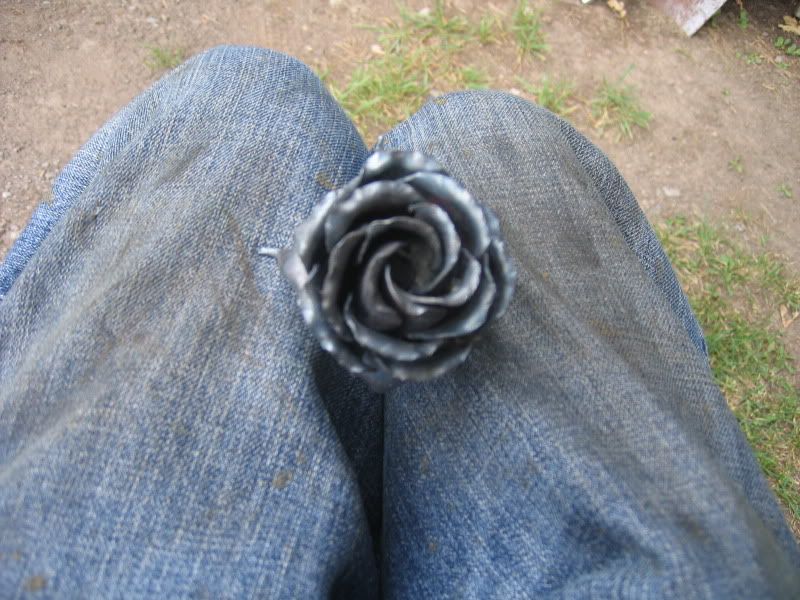 rose004.jpg
