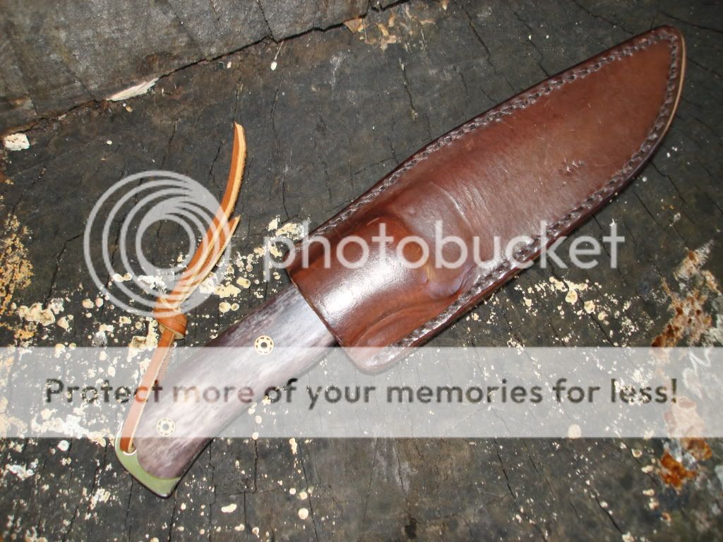 001-12.jpg