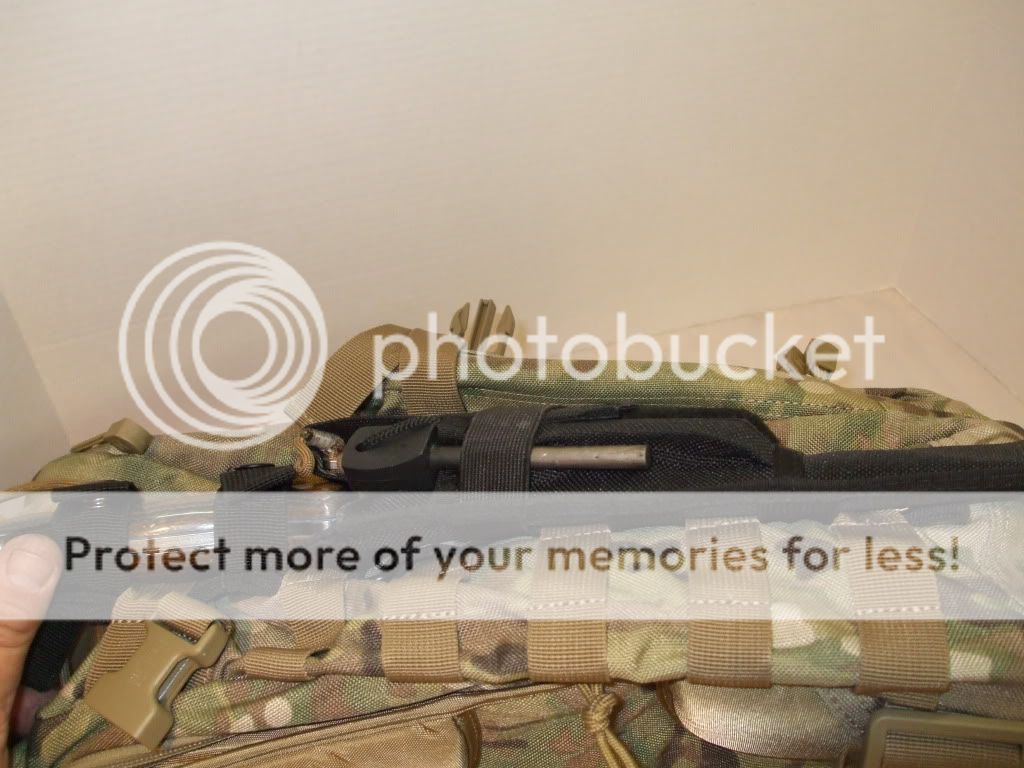 41812045.jpg