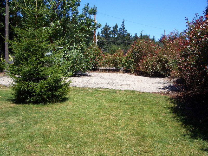 CIMG0068-L.jpg