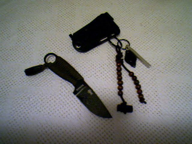 IMG01008.jpg