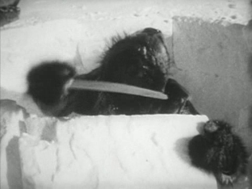 Nanook-Igloo.png
