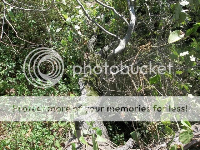 100_3512.jpg