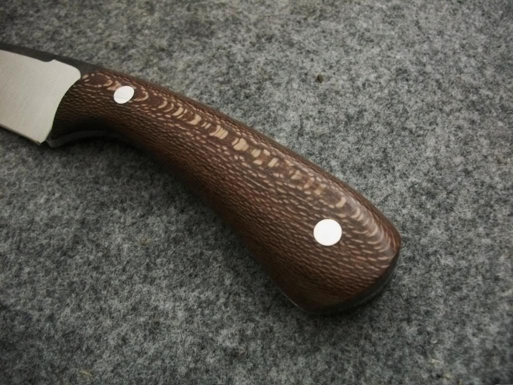 CAMPY130.jpg