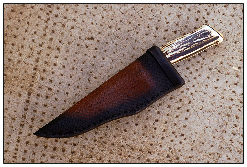 miniedc13.jpg