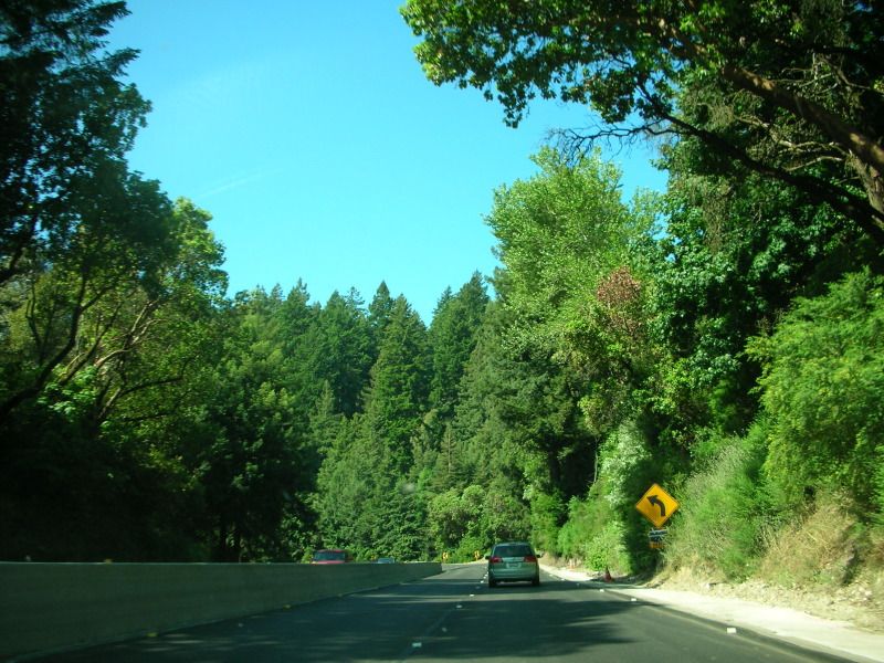 DSCN2244.jpg