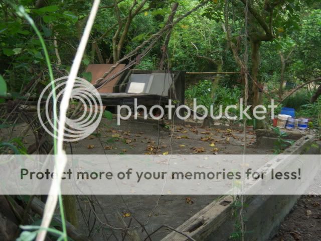 100_0571.jpg