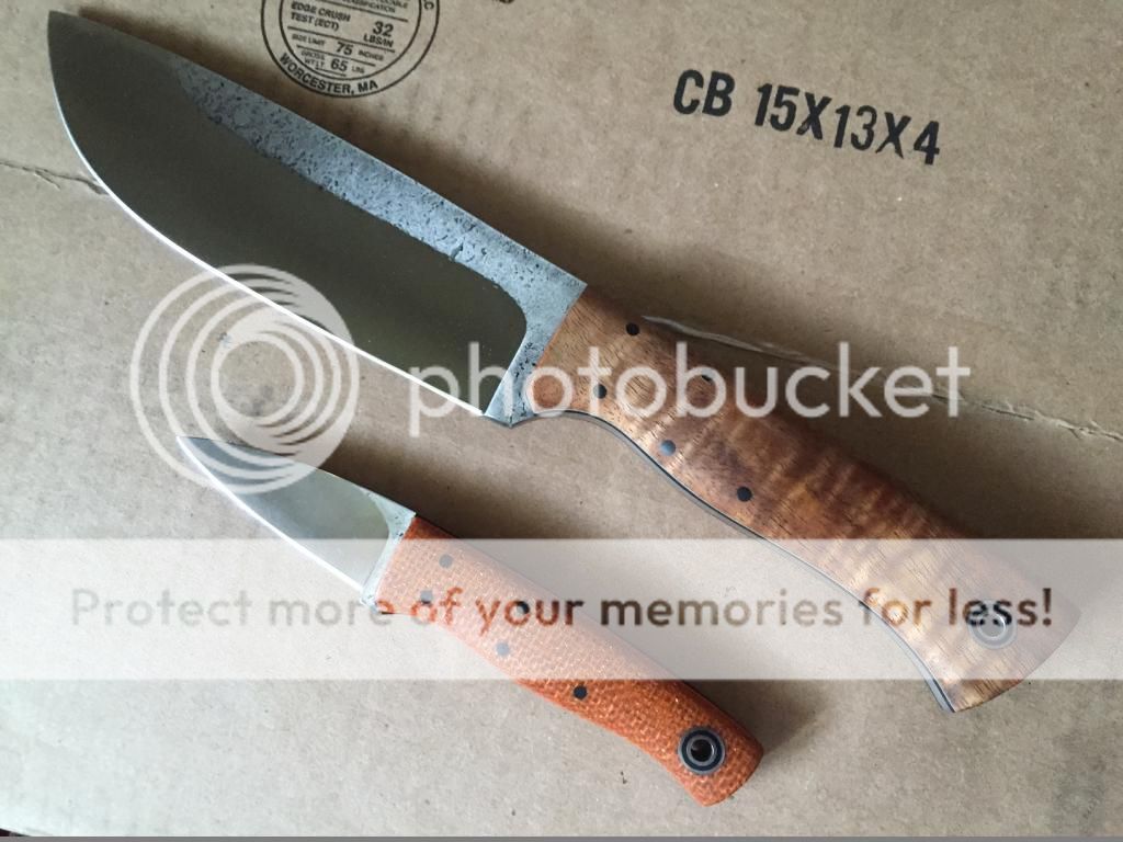 FBF_01_zps237564ba.jpg