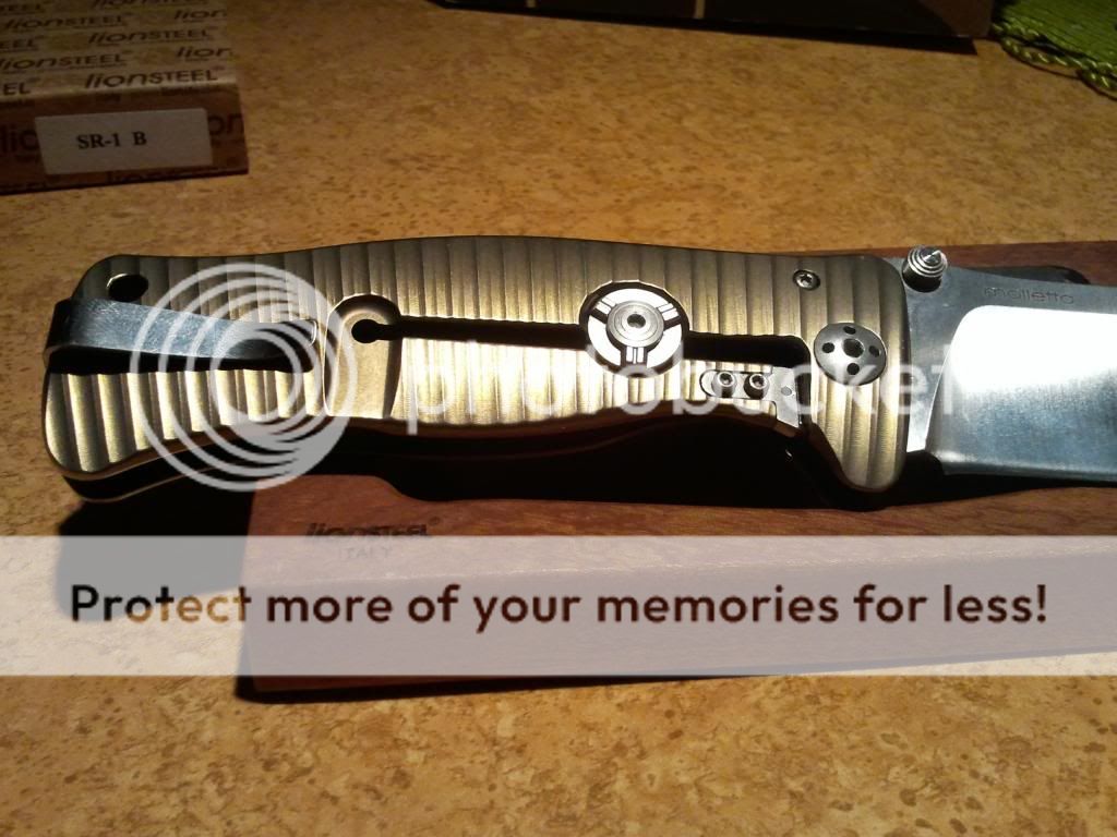 SR1LHandle_zps9a6449e6.jpg