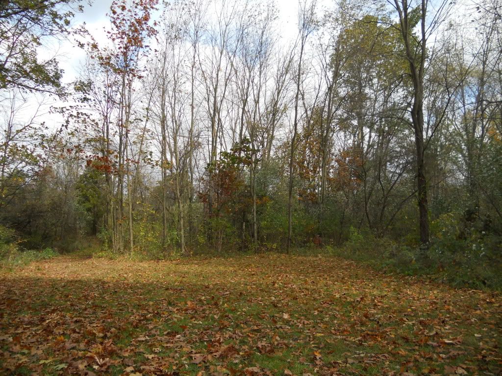 Gathering10-15-11012.jpg