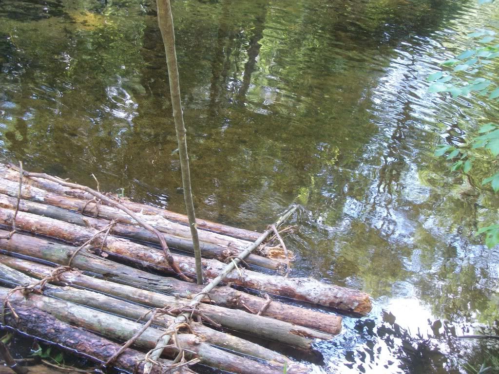 100_0456.jpg