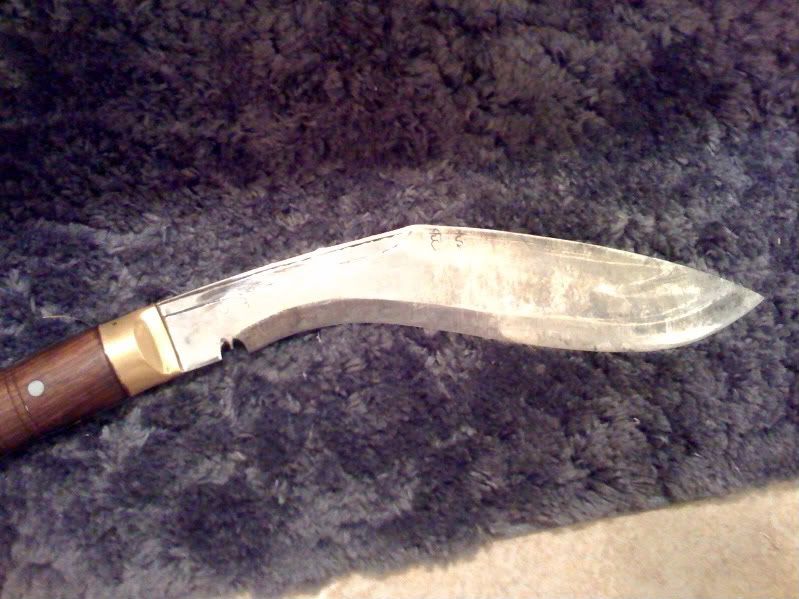photo-1.jpg