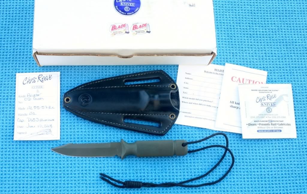 Aviator1Medium.jpg