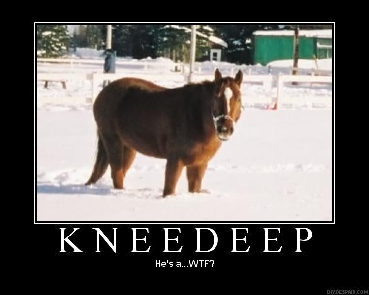 kd3.jpg