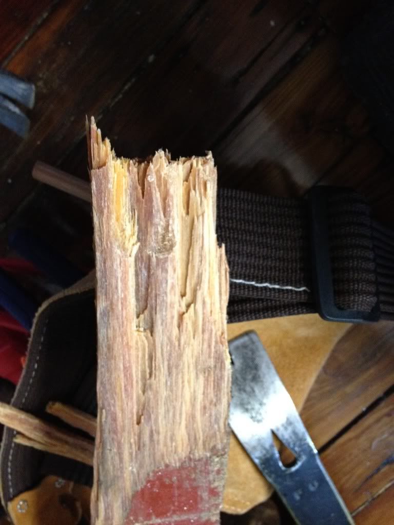 photo6.jpg