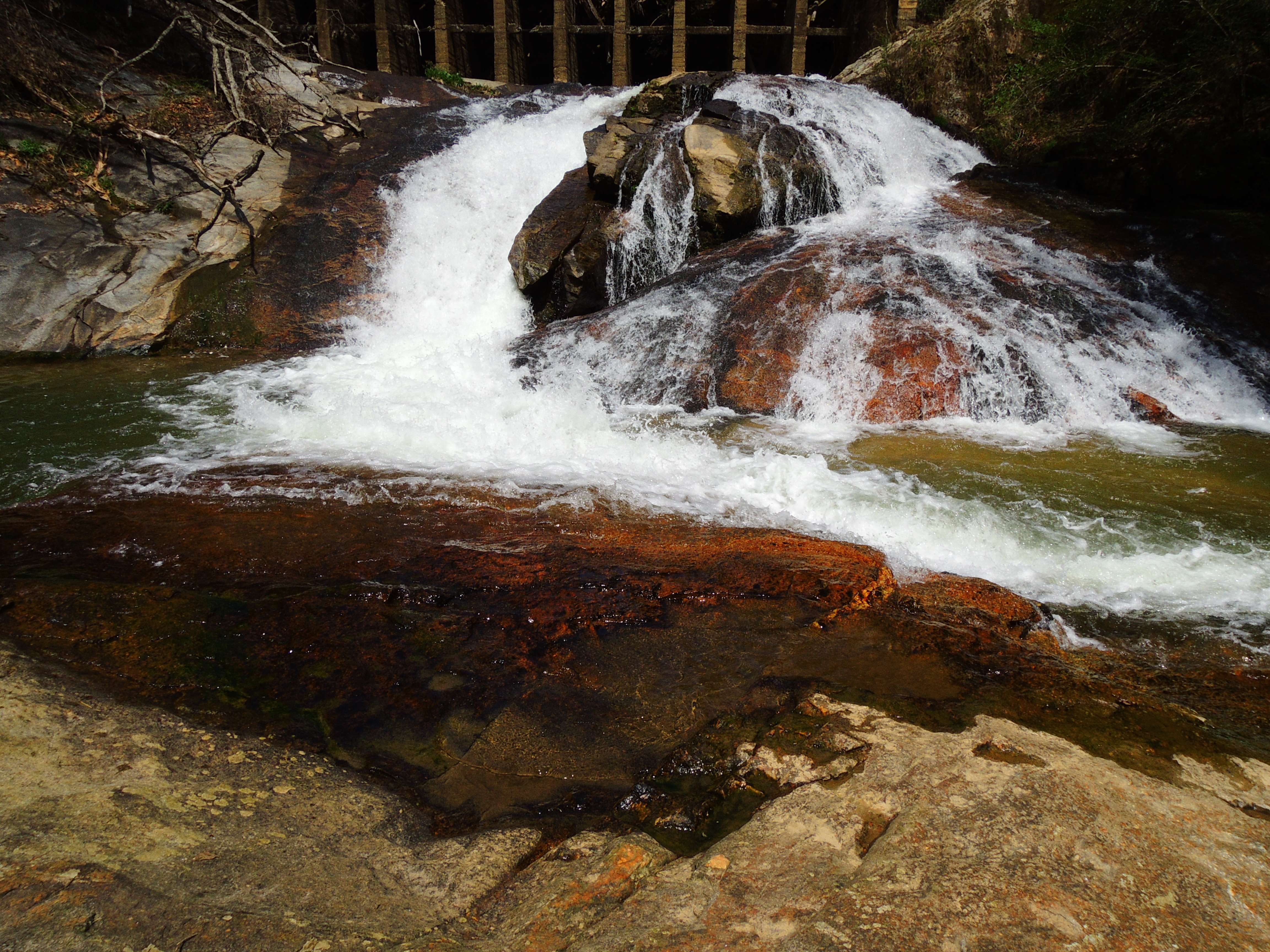 dscn0630m.jpg