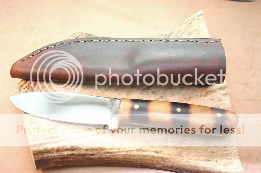 IMG_4313_1_zpsd6a9896b.jpg
