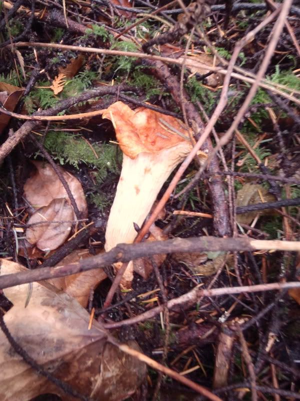 PB070014.jpg