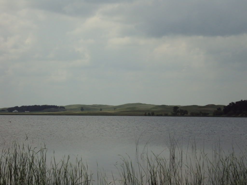 DSC00924.jpg