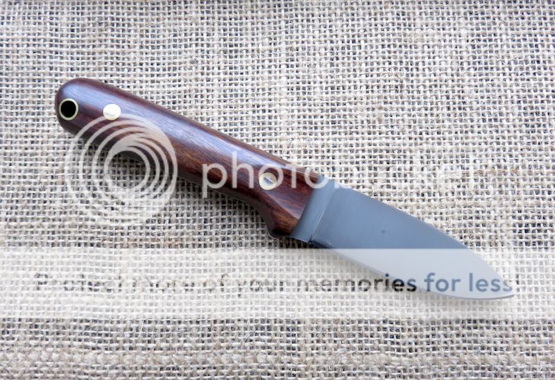 IMG_1446.jpg~original