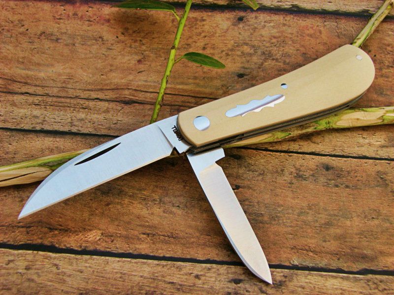 swayback010-1-1.jpg