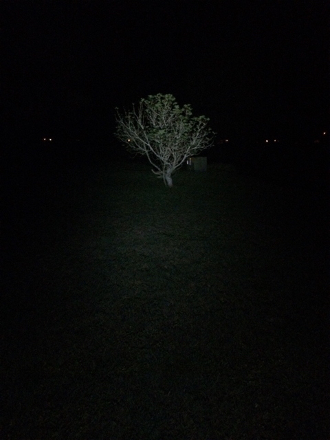 b3d25dc7679e6bdfe2a37307da728ab9.jpg