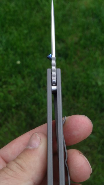 dN7XA73l.jpg