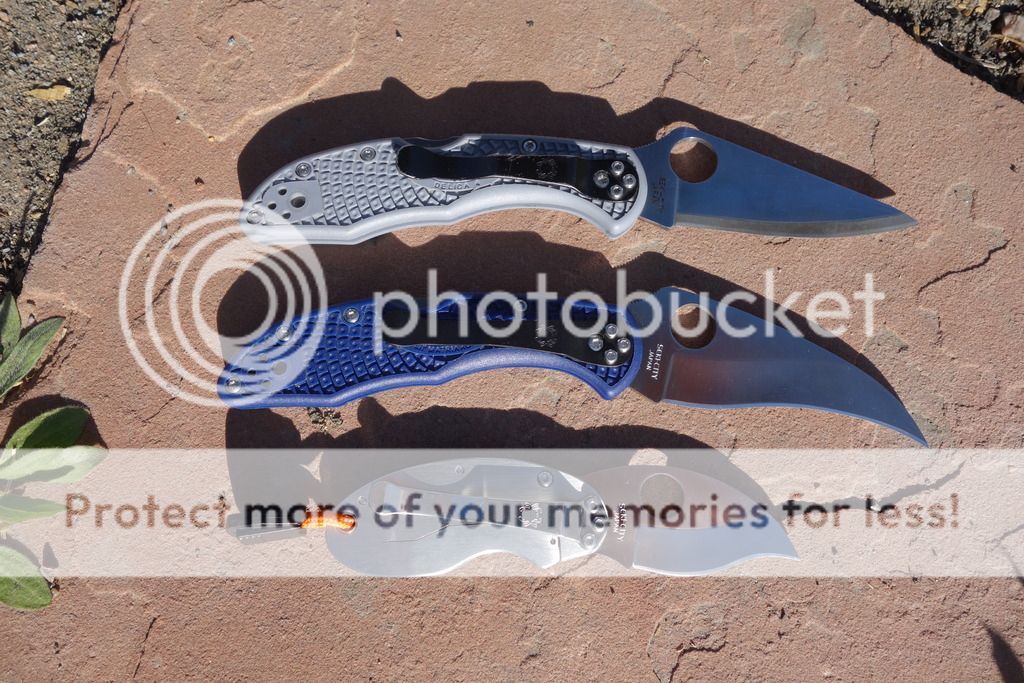 DSC01173_zpsu7rxzuhy.jpg