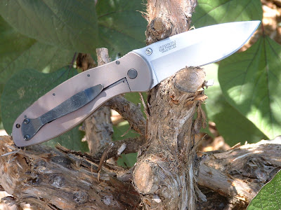 Kershaw+SG2+Blur+Frame+lock+conversion+by+STR+008.jpg