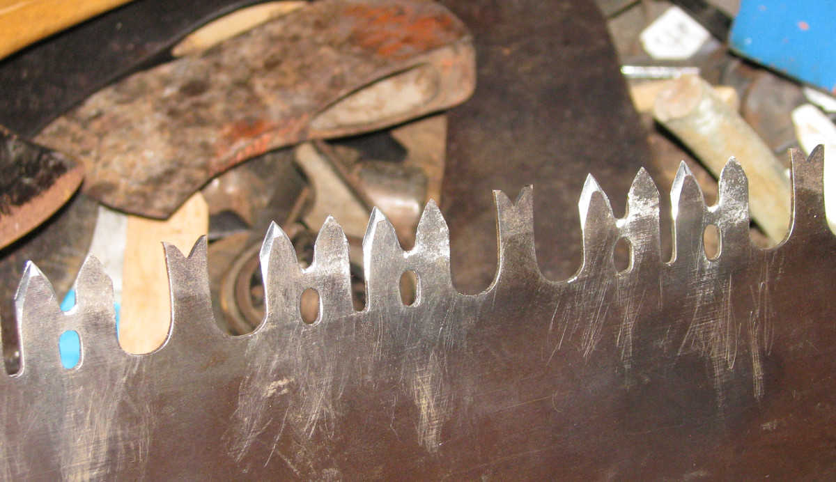 Sharpened%20Teeth.jpg