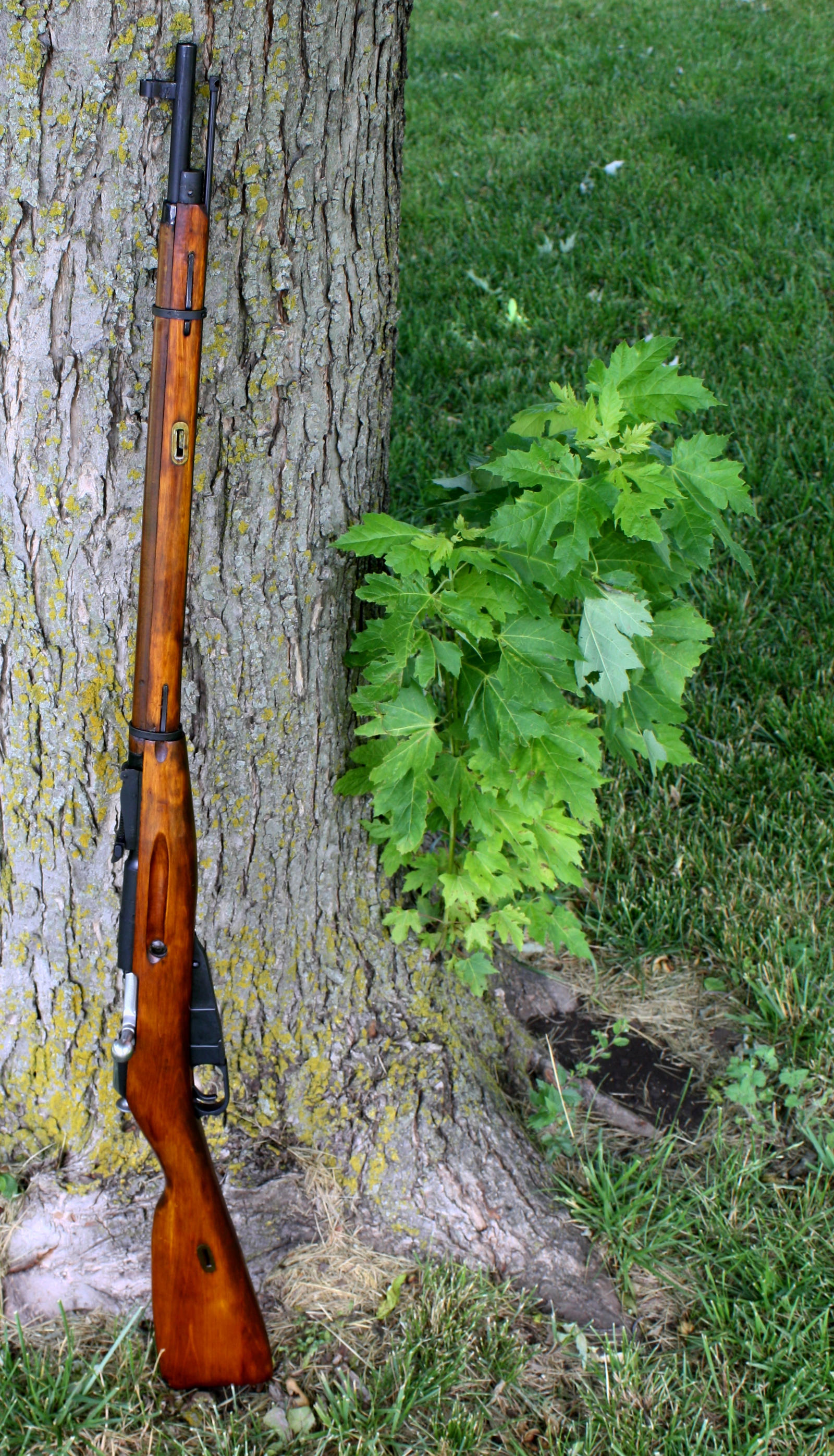 1938_mosin_nagant_by_wolfie_83-d51wtpp.jpg