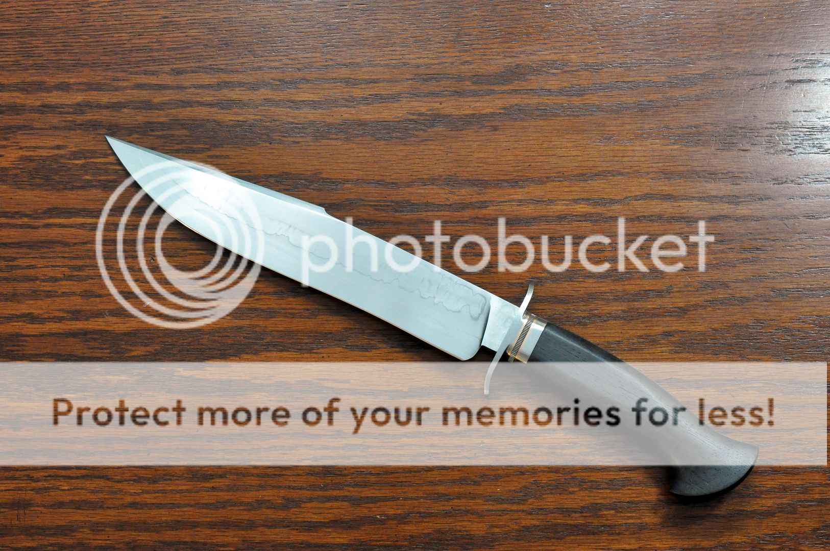 raisedclipbowie_zps8d4b87f7.jpg