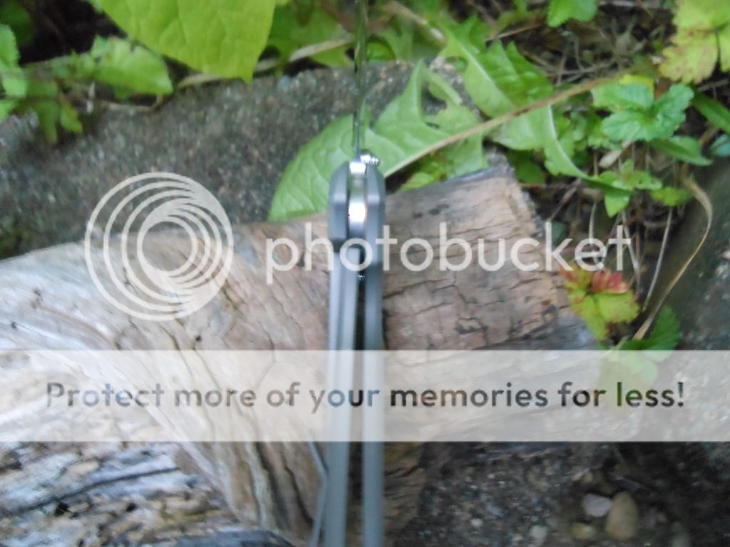 DSCN1278.jpg