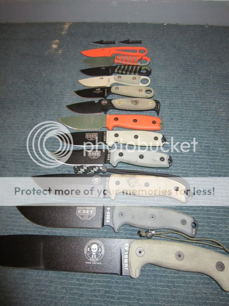 esee002.jpg