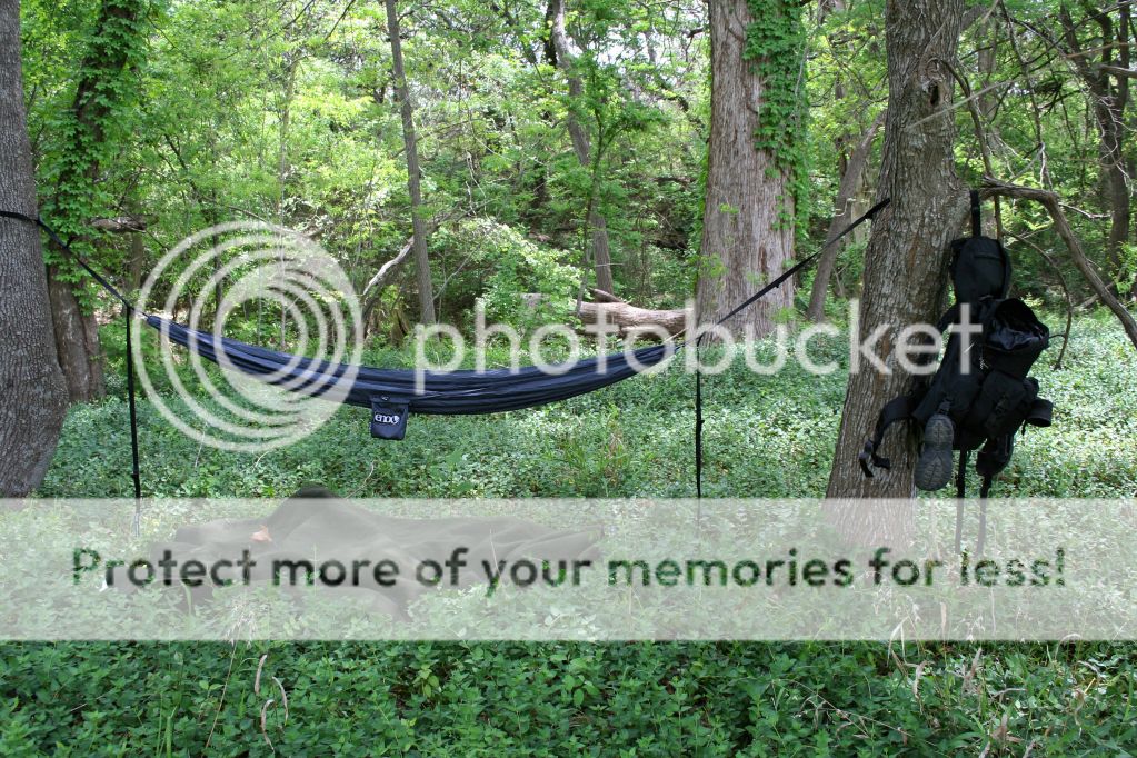 6752708109d95cc69e169b8060b9f8e7_zpsf38a1343.jpg~original