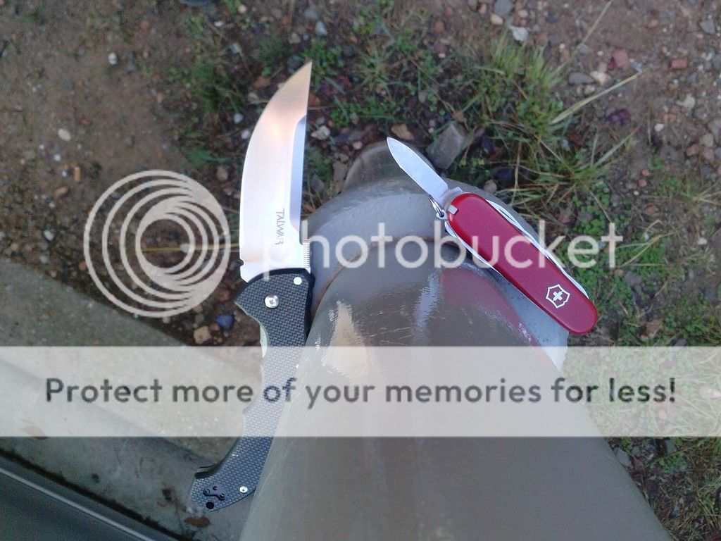 CAM05245_zpsswthmjk6.jpg