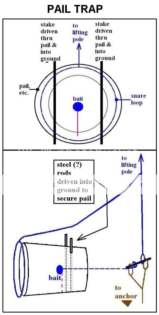 PailTrap.jpg